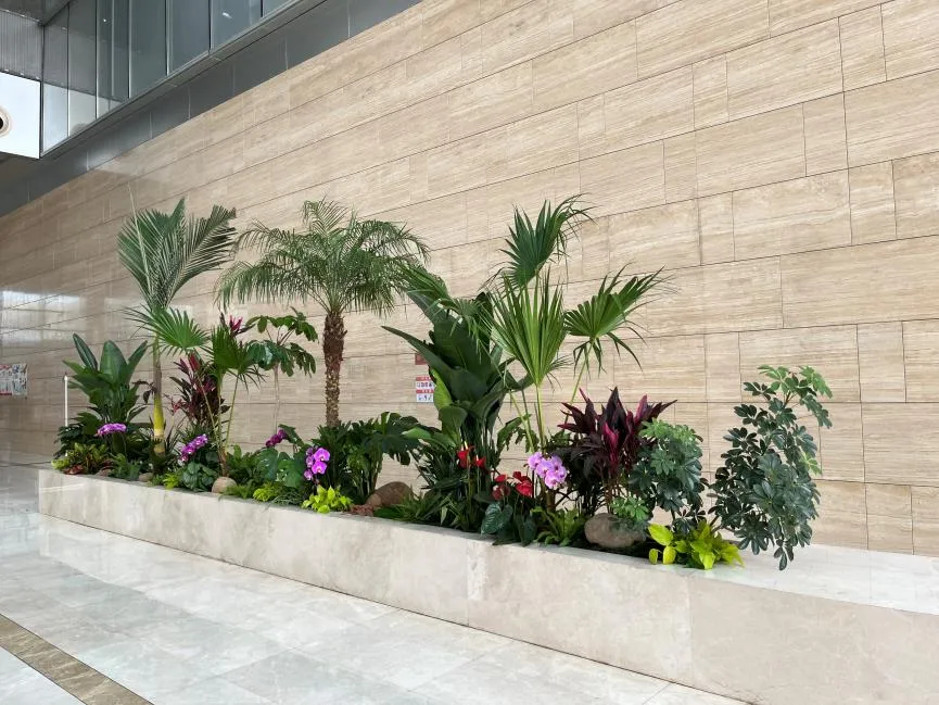 宁波江北植物租摆专业><div class=